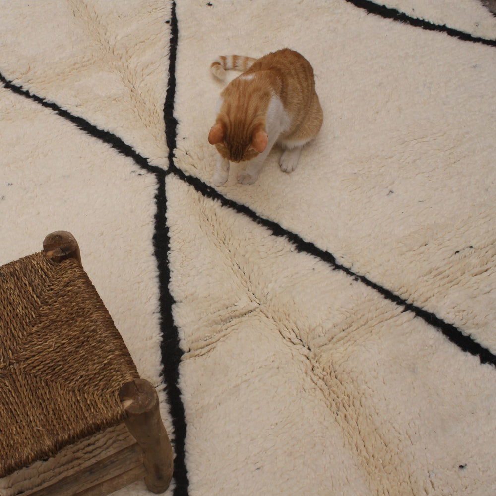 Traditional Moroccan Berber rug with black diamonds