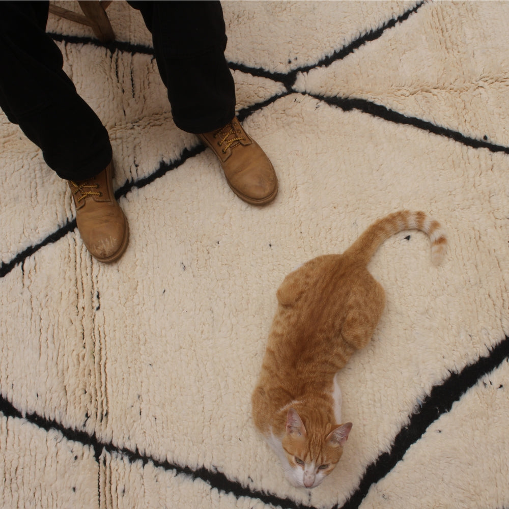 Cat lying on a patterned rug with a person's legs in the background
